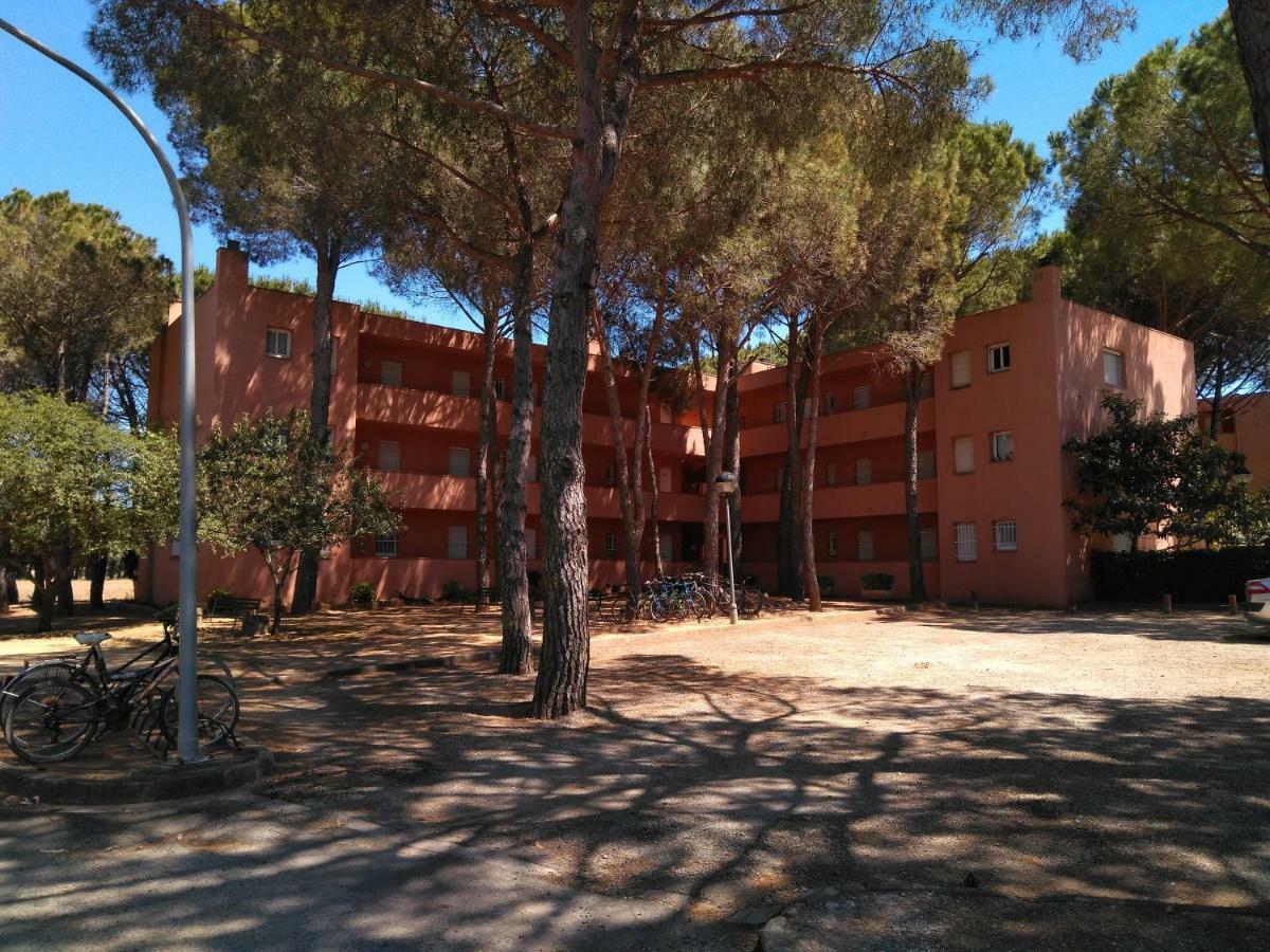 Bonito Apartamento, Con Piscina, Excelente Wifi Y Aire Acondicionado Pals Bagian luar foto